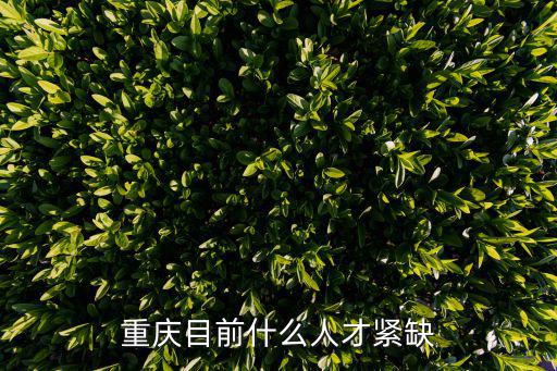 重慶目前什么人才緊缺