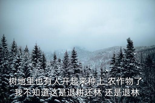 樹地里也有人開起來種上 農(nóng)作物了 我不知道這是退耕還林 還是退林