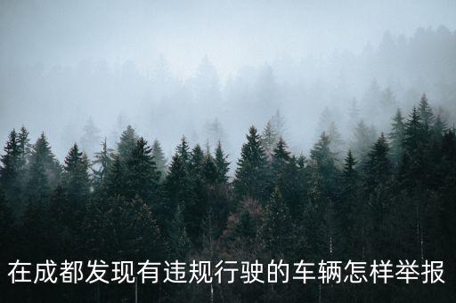 在成都發現有違規行駛的車輛怎樣舉報