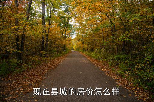 現在縣城的房價怎么樣