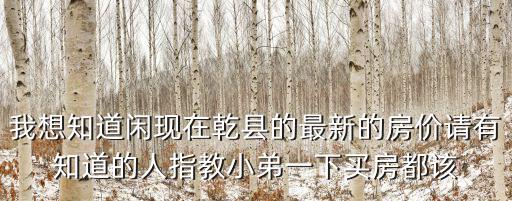 我想知道閑現在乾縣的最新的房價請有知道的人指教小弟一下買房都該