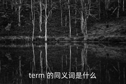 term 的同義詞是什么