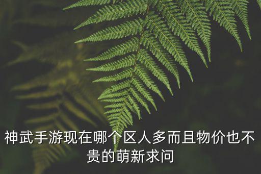 神武手游現(xiàn)在哪個(gè)區(qū)人多而且物價(jià)也不貴的萌新求問