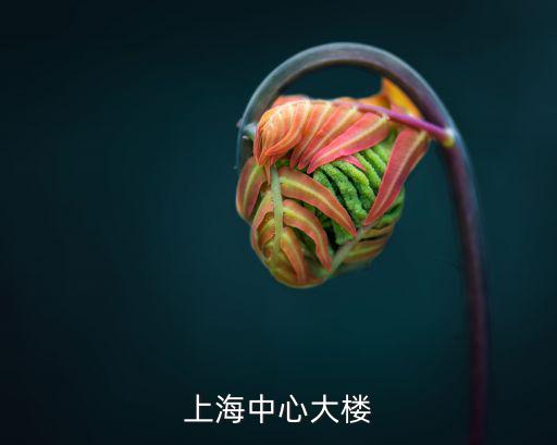 上海中心大樓