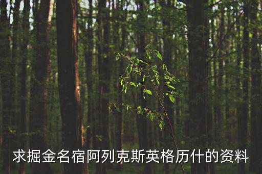 求掘金名宿阿列克斯英格歷什的資料