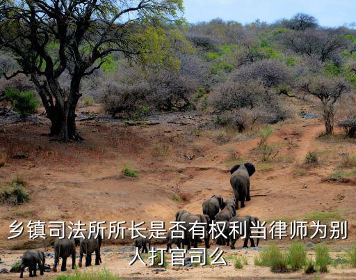 鄉鎮司法所所長是否有權利當律師為別人打官司么