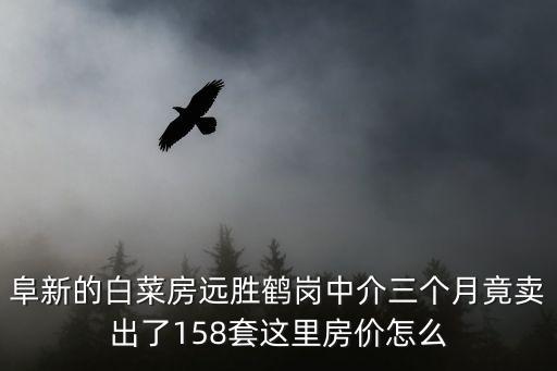 阜新的白菜房遠勝鶴崗中介三個月竟賣出了158套這里房價怎么