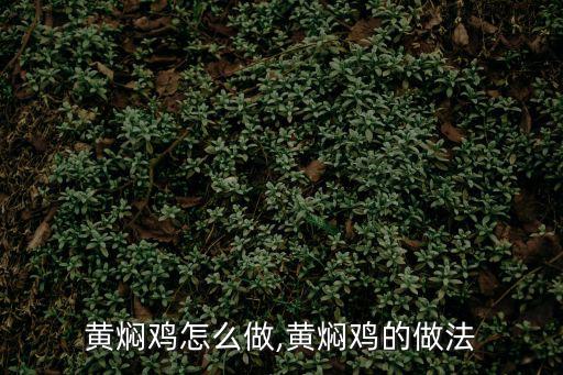黃燜雞怎么做,黃燜雞的做法