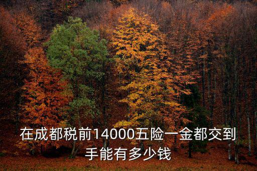 在成都稅前14000五險一金都交到手能有多少錢