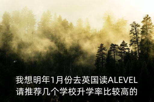 我想明年1月份去英國讀ALEVEL請推薦幾個學校升學率比較高的