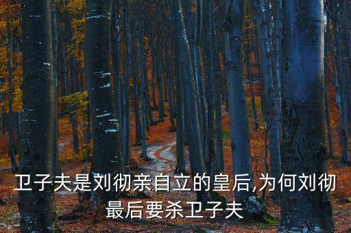 衛子夫是誰的皇后,衛子夫死后沒再立皇后劉徹與她勾通