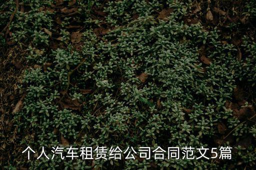 個人汽車租賃給公司合同范文5篇