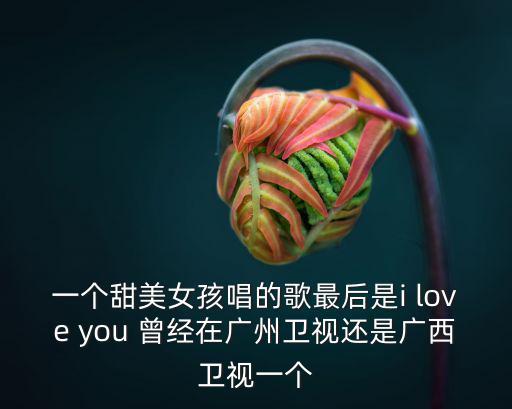 廣州電視臺欣卉，一個甜美女孩唱的歌最后是i love you 曾經在廣州衛視還是廣西衛視一個