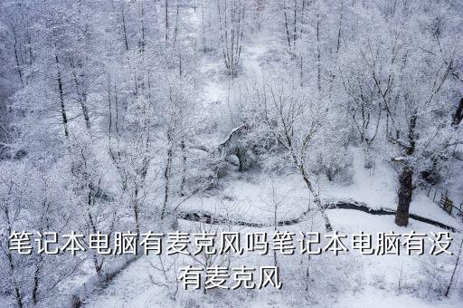 筆記本電腦有麥克風嗎筆記本電腦有沒有麥克風
