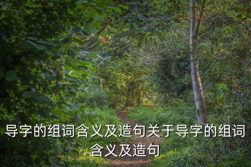 導字的組詞含義及造句關于導字的組詞含義及造句