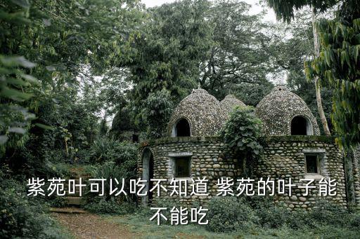 紫苑的功效與作用,紫菀鎮(zhèn)咳散咳對(duì)小鼠有顯著作用