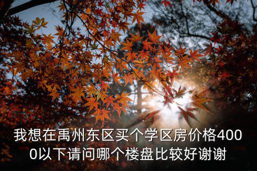 我想在禹州東區買個學區房價格4000以下請問哪個樓盤比較好謝謝