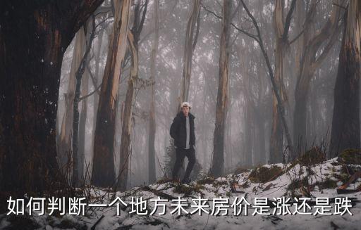 如何判斷一個(gè)地方未來(lái)房?jī)r(jià)是漲還是跌