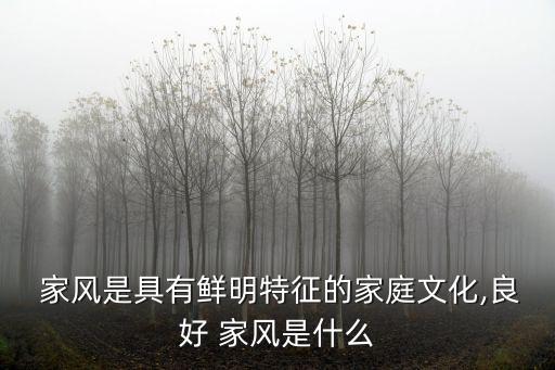 好家風,家風是一個家庭最寶貴精神財富