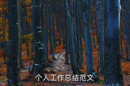 個人總結報告，個人工作總結范文