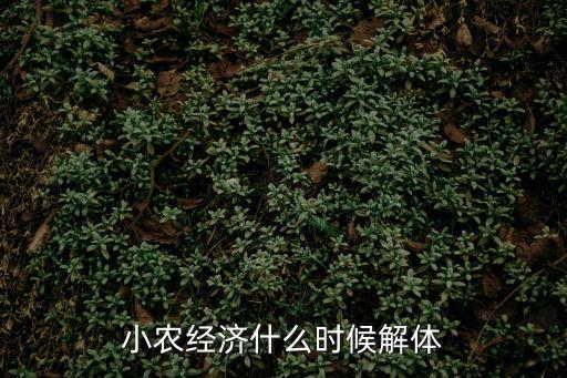 小農經濟什么時候解體