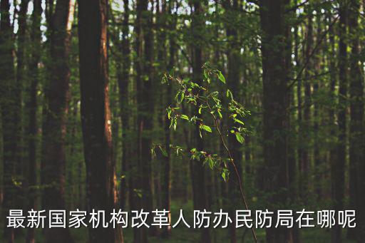 最新國家機構改革人防辦民防局在哪呢