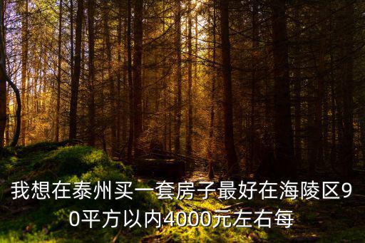 泰州房價哪個區最好，我想在泰州買一套房子最好在海陵區90平方以內4000元左右每