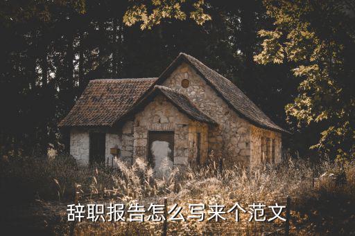 辭職報告怎么寫來個范文
