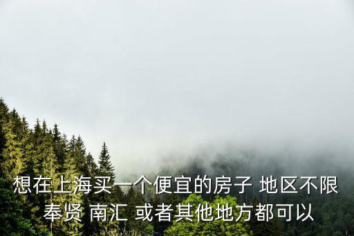 想在上海買一個便宜的房子 地區(qū)不限 奉賢 南匯 或者其他地方都可以