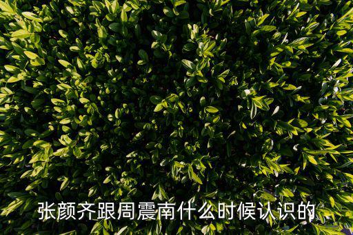 張顏齊跟周震南什么時候認識的