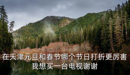 在天津元旦和春節哪個節日打折更厲害我想買一臺電視謝謝