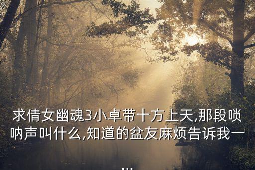 求倩女幽魂3小卓帶十方上天,那段嗩吶聲叫什么,知道的盆友麻煩告訴我一...