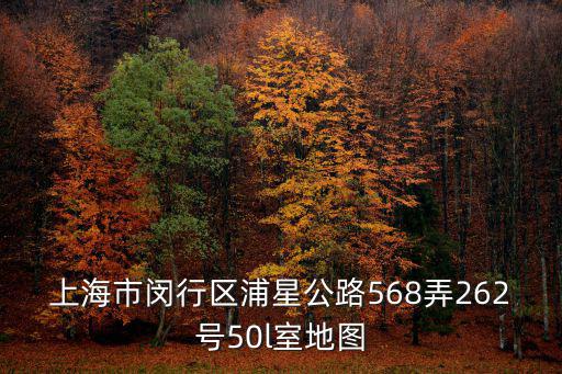 上海市閔行區(qū)浦星公路568弄262號50l室地圖