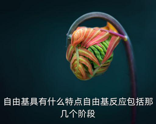 自由基具有什么特點自由基反應包括那幾個階段