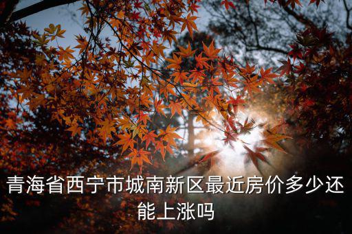 青海省西寧市城南新區最近房價多少還能上漲嗎