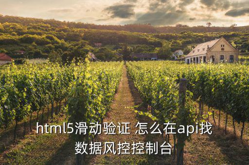 html5滑動驗證 怎么在api找數據風控控制臺