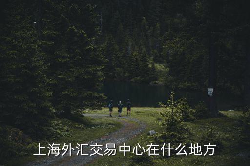 上海外匯交易中心在什么地方