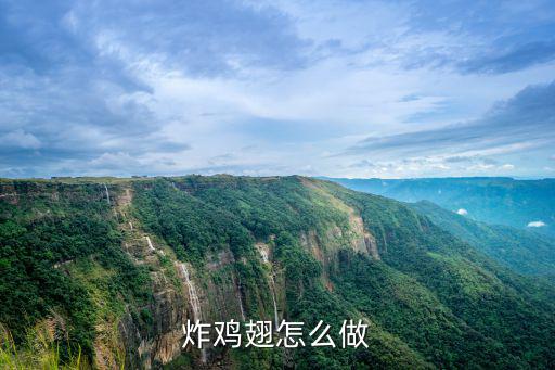 干炸雞翅,一只雞翅一只放入煎鍋中火煎炸雞翅怎么做