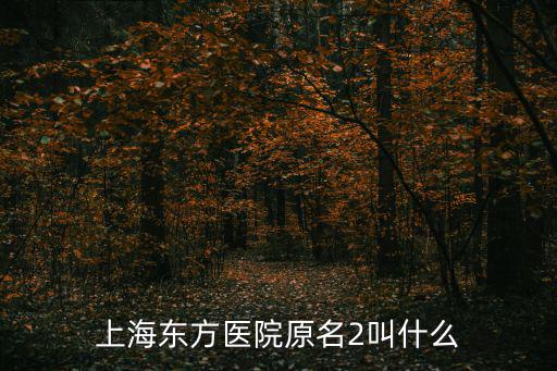 上海市東方醫(yī)院怎么翻譯，醫(yī)院的英語單詞怎么寫