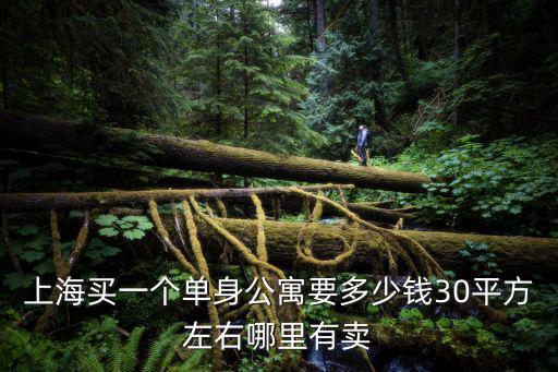 上海買一個單身公寓要多少錢30平方左右哪里有賣