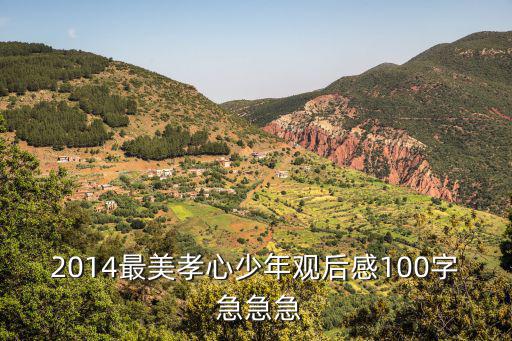 2014最美孝心少年觀后感100字 急急急