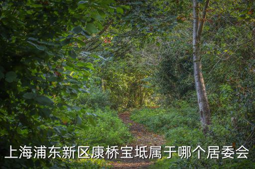 上海浦東新區康橋寶坻屬于哪個居委會