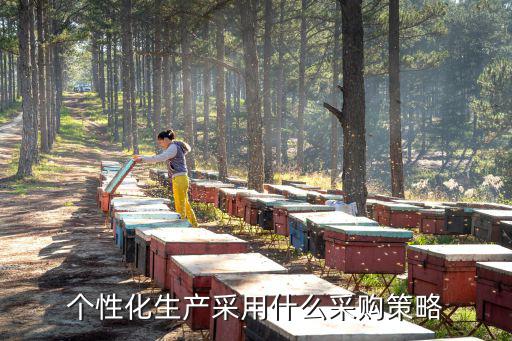 采購策略,采購工作至關(guān)重要各類采購各有優(yōu)勢(shì)與不足