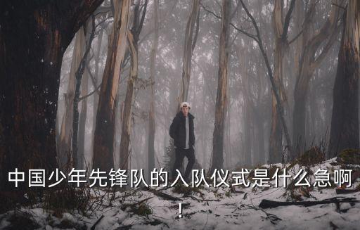 中國少年先鋒隊的入隊儀式是什么急啊!