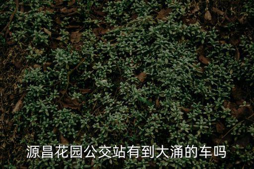 源昌花園公交站有到大涌的車嗎