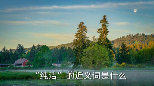 “純潔”的近義詞是什么