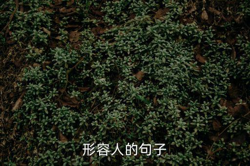 形容人的句子，形容人的句子