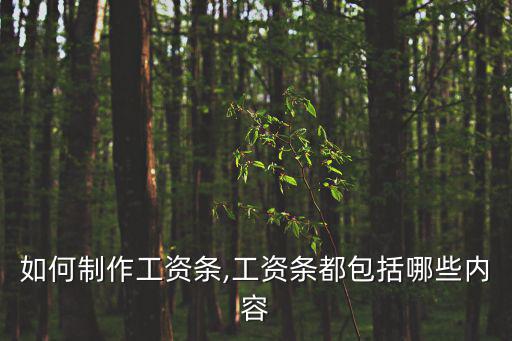 如何制作工資條,工資條都包括哪些內容