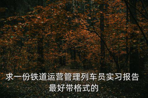 求一份鐵道運營管理列車員實習報告 最好帶格式的