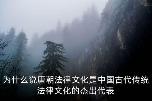 法律文化,張晉藩《中國法律的傳統與現代轉型》第一集
